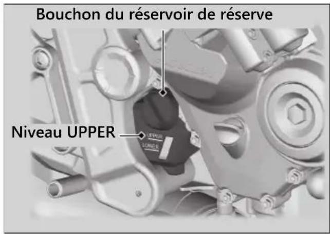 Honda CB650RAC (2024) - ATTENTION - 1
