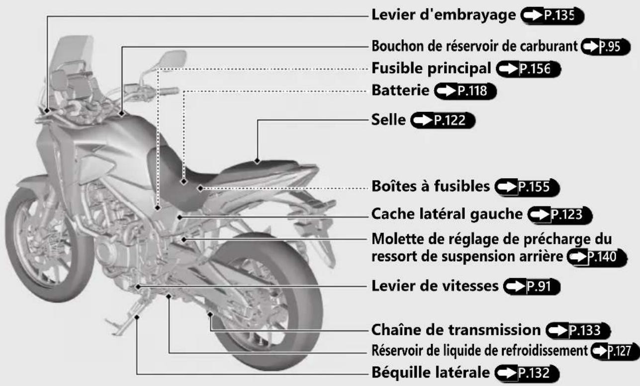 Honda CB500FA (2024) - Emplacement des composants (Suite page suivante) - 2