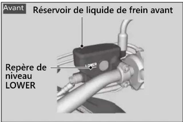 Honda CB500FA (2024) - Contrôle du liquide de frein - 1