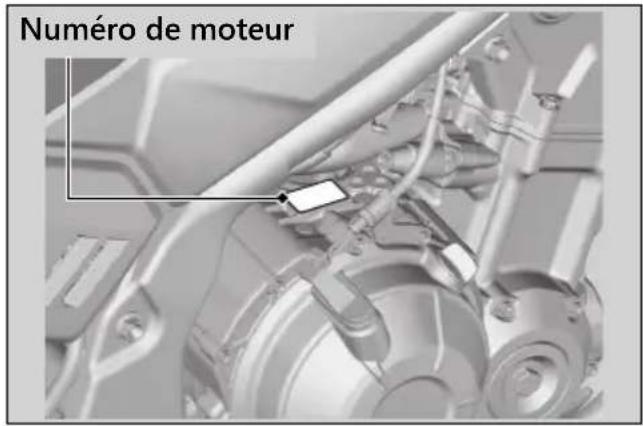 Honda CB500FA (2024) - Numéros de série - 3