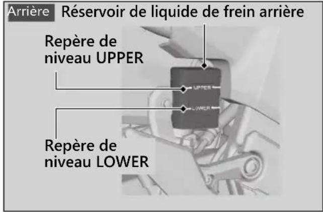 Honda CB500FA (2024) - Contrôle du liquide de frein - 2
