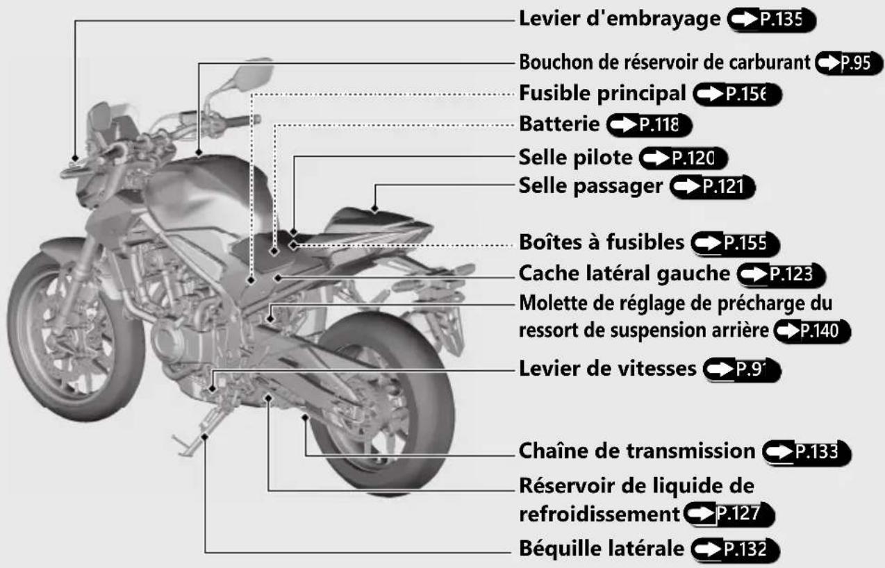 Honda CB500FA (2024) - Emplacement des composants - 2