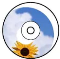 EPSON EcoTank L8100 - La position d'impression sur l'étiquette d'un disque est incorrecte - 1