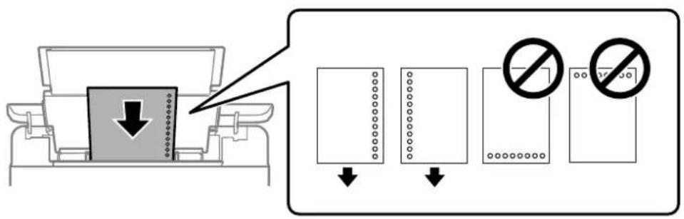 EPSON EcoTank L8100 - Chargement de papier préperforé - 1