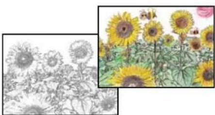 EPSON EcoTank L8100 - Impression d'un livre de coloriage à partir de photos - 1