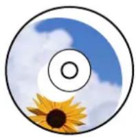 EPSON EcoTank L8100 - La position de copie sur l'étiquette d'un disque est incorrecte - 1