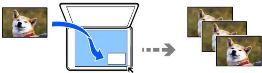 EPSON EcoTank L8100 - Copie de photos - 1