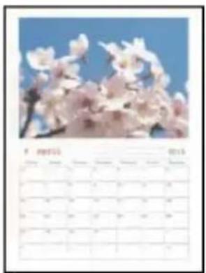 EPSON EcoTank L8100 - Impression de calendriers originaux avec une photo - 1