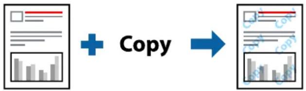 EPSON EcoTank L8100 - Impression d'un motif anticopie - 1