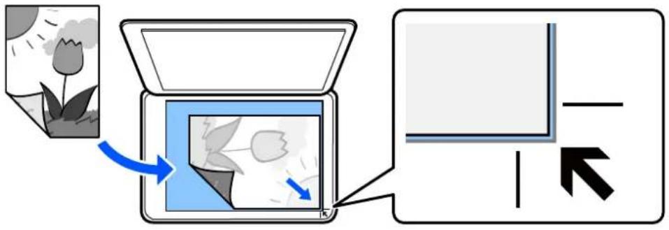 EPSON EcoTank L8100 - Positionnement des originaux - 1