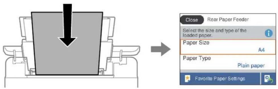 EPSON EcoTank L8100 - Paramètres de format et de type de papier - 1