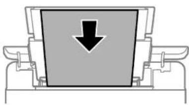 EPSON EcoTank L8100 - Chargement de papier dans le chargeur d'alimentation papier à l'arrière - 3