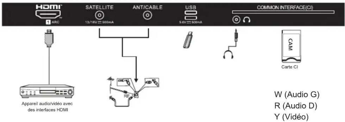 HDMI 1 ARC SATELLITE 13/18V 500mA ANT/CABLE USB 5.0V 500mA COMMON INTERFACE(CI) Appareil audio/vidéo avec des interfaces HDMI RF CAM Carte CI W (Audio G) R (Audio D) Y (Vidéo)