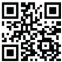 PRIMO PR152RKR - WEBSHOP - 2