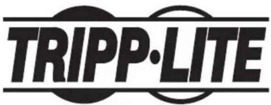 Tripp Lite B114-004-R - Información de cumplimiento con WEEE para clientes y recicladores de Tripp Lite (Unión Europea) - 2
