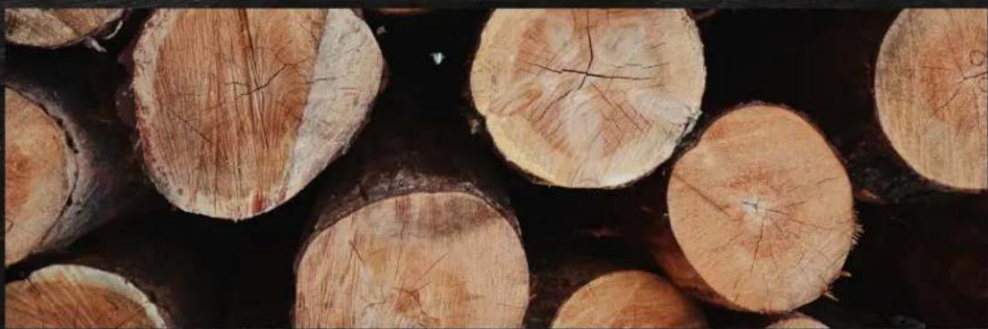 TRAEGER Pro 20 - GRANULES DE BOIS FRANC ENTIÈREMENT NATUREL - 1