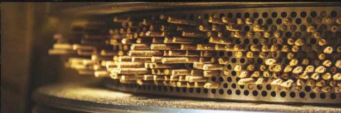 TRAEGER Pro 20 - GRANULES DE BOIS FRANC ENTIÈREMENT NATUREL - 2