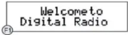 Auna Black Star CD-DAB - INHALT - 1