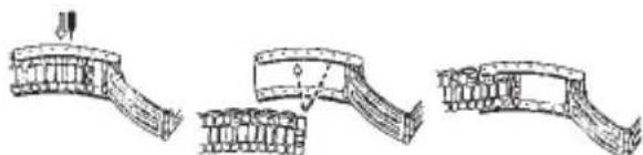 TIMEX World Time - FOLDOVER CLASP BRACELET - 1