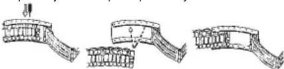TIMEX World Time - PULSERA CON BROCHE PLEGABLE - 1