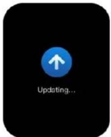 TIMEX Metropolitan S - Pairing your watch with your phone - 3