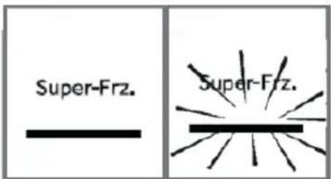 HAIER HFR3718ENMM - Funkce Super-Freeze - 1