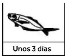 HAIER CFW91019ENGB - Referencias para el tiempo de almacenamiento de carne y pescado - 2