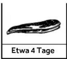 HAIER CFW91019ENGB - Richtwerte für die Aufbewahrungsdauer von Fisch und Fleisch - 3