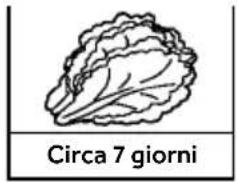 HAIER CFW91019ENGB - Parametri di riferimento per il tempo di conservazione di frutta e verdura - 1