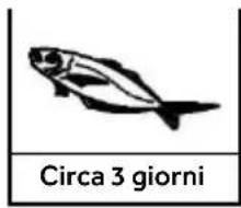 HAIER CFW91019ENGB - Parametri di riferimento per il tempo di conservazione del pesce e della carne - 2