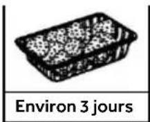 HAIER CFW91019ENGB - Repères pour la durée de conservation des fruits et légumes - 3
