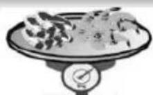 HAIER CFW91019ENGB - Überlegungen zum Einfrieren von Lebensmitteln - 7