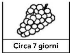 HAIER CFW91019ENGB - Parametri di riferimento per il tempo di conservazione di frutta e verdura - 4