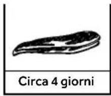 HAIER CFW91019ENGB - Parametri di riferimento per il tempo di conservazione del pesce e della carne - 3