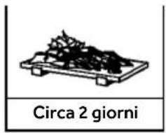 HAIER CFW91019ENGB - Parametri di riferimento per il tempo di conservazione del pesce e della carne - 1