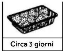 HAIER CFW91019ENGB - Parametri di riferimento per il tempo di conservazione di frutta e verdura - 3
