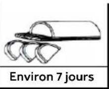 HAIER CFW91019ENGB - Critères de référence pour la durée de stockage du poisson et de la viande - 4