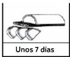 HAIER CFW91019ENGB - Referencias para el tiempo de almacenamiento de carne y pescado - 3