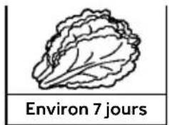 HAIER CFW91019ENGB - Repères pour la durée de conservation des fruits et légumes - 1