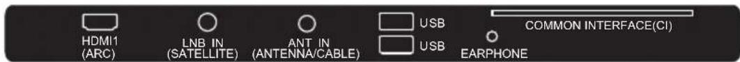 HDMI1 (ARC) LNB IN (SATELLITE) ANT IN (ANTENNA/CABLE) USB USB COMMON INTERFACE(CI) EARPHONE