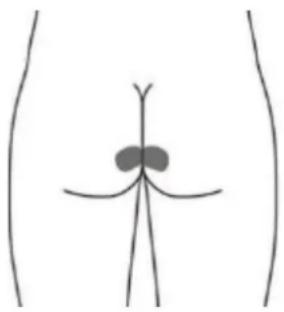 TensCare Elise 2 - efectivo como la estimulación con la sonda vaginal) - 1