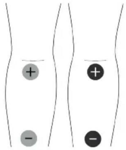TensCare Unipro - WARRANTY IS VOID UNLESS THE ABOVE INFORMATION IS COMPLETED AND CORRECT - 10