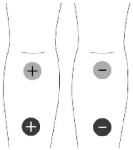 TensCare Unifit - LA GARANTIA ES NULA MENOS QUE LA INFORMACION ANTERIOR SEA COMPLETA Y CORRECTA - 3