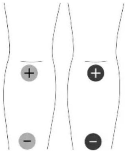 TensCare Unifit - WARRANTY IS VOID UNLESS THE ABOVE INFORMATION IS COMPLETED AND CORRECT - 13
