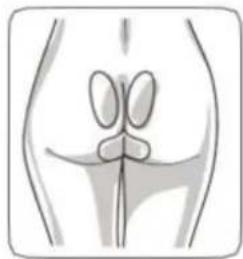 TensCare Alivia - SESSION D'EXERCICES - 1