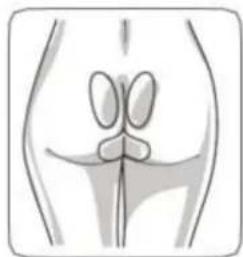 TensCare Alivia - CONDITIONS THAT MAY BE TREATED - 2