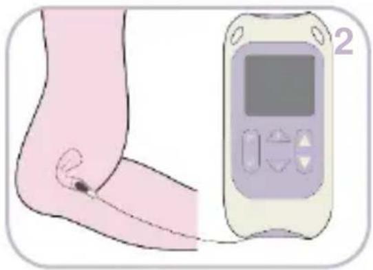 TensCare Kegel Toner - GUÍA DE INICIO RÁPIDO - 2