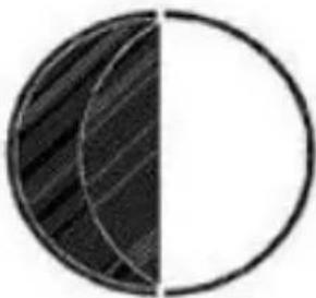 Techno Line WS 9218 - Fase lunare - 7