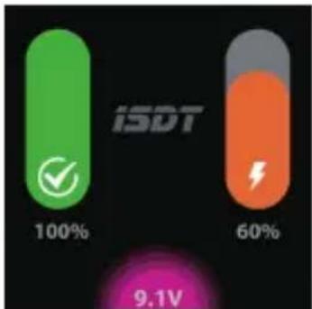 ISDT NP2 - Инструкция по эксплуатации - 4