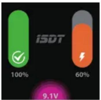 ISDT NP2 - Istruzioni Operative - 4